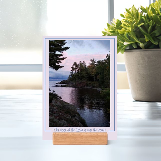 Print Holder (Insitu 1)