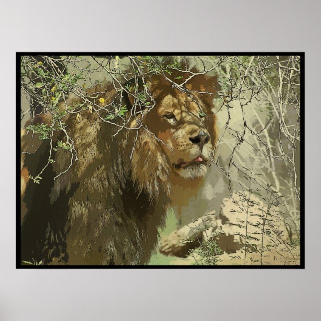 Print - King of the Jungle (Front)