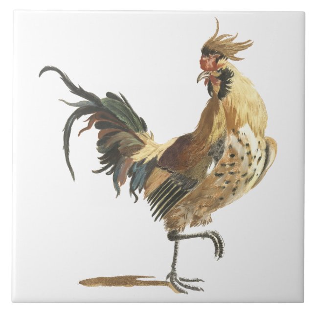Print of Antique 17th Century Rooster  Ceramic Tile (Front)