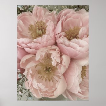 Print | Peonies I - 24in X 32in by mistyqe at Zazzle