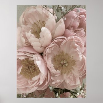 Print | Peonies Ii - 24in X 32in by mistyqe at Zazzle