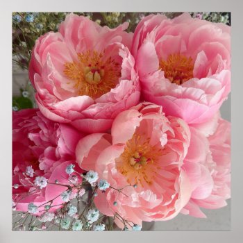 Print | Peonies Ii (30"x30") by mistyqe at Zazzle