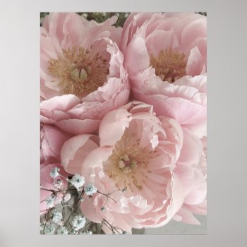 Print | Peonies Iii - 24in X 32in by mistyqe at Zazzle