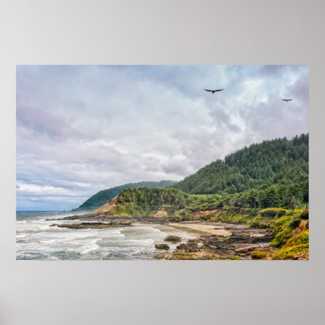 Print: Seagulls Flying Along Coast Poster (Front)