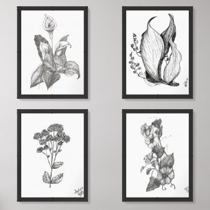 Print Set Selection of Four Botanical Drawings
