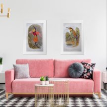 Print Set Stunning Vintage Art