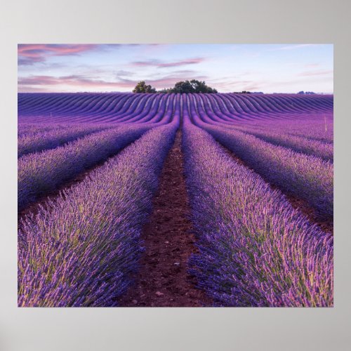 Print Value Poster PaperBeautiful scenery pictur