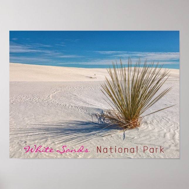 Print, Value Poster Paper (Matte) (Front)