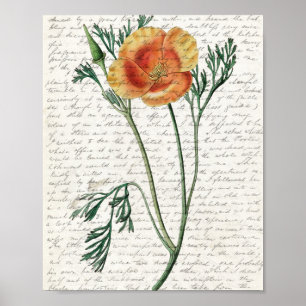 Print, Value Poster Paper (Matte)
