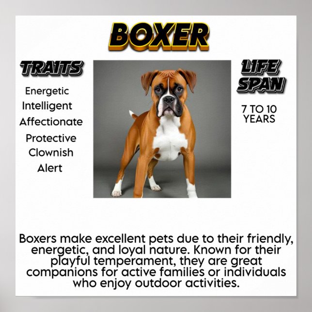 Print, Value Poster Paper (Matte) (Front)