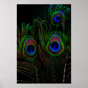 Print, Value Poster Paper (Matte)