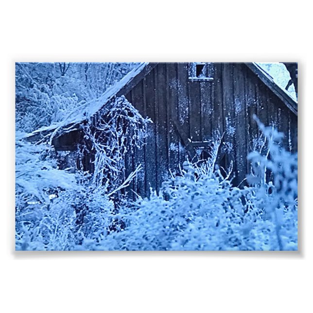 PRINT YOUR OWN PHOTOS (Front)