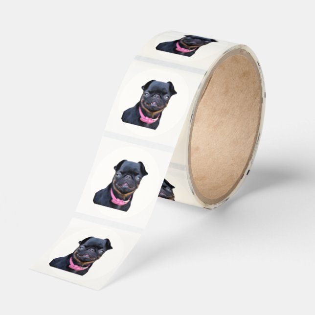 Print Your Pet Photo on 1.5" Clear Sticker Roll (Roll)