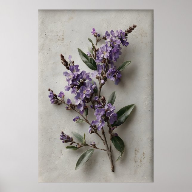 Printable Dampiera Wall Art, Antique Flower Spring Poster (Front)