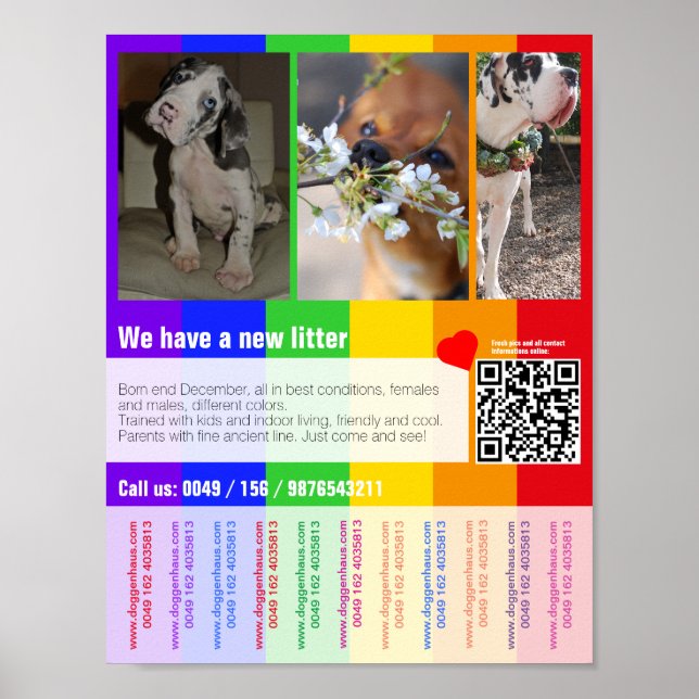 printable puppies for sale template poster (Front)