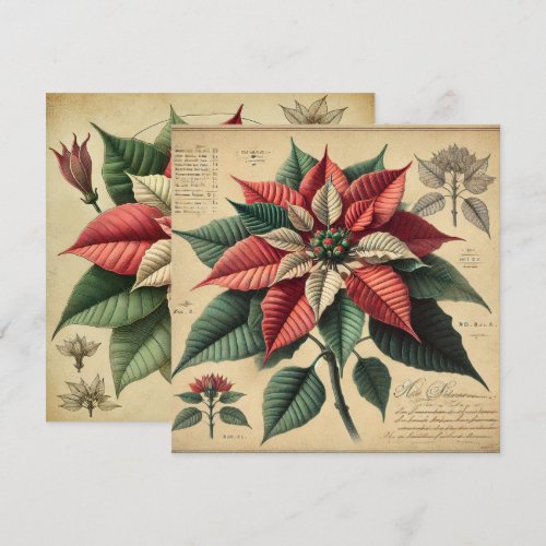 Printable Retro Poinsettia Botanical Scrapbook Invitation