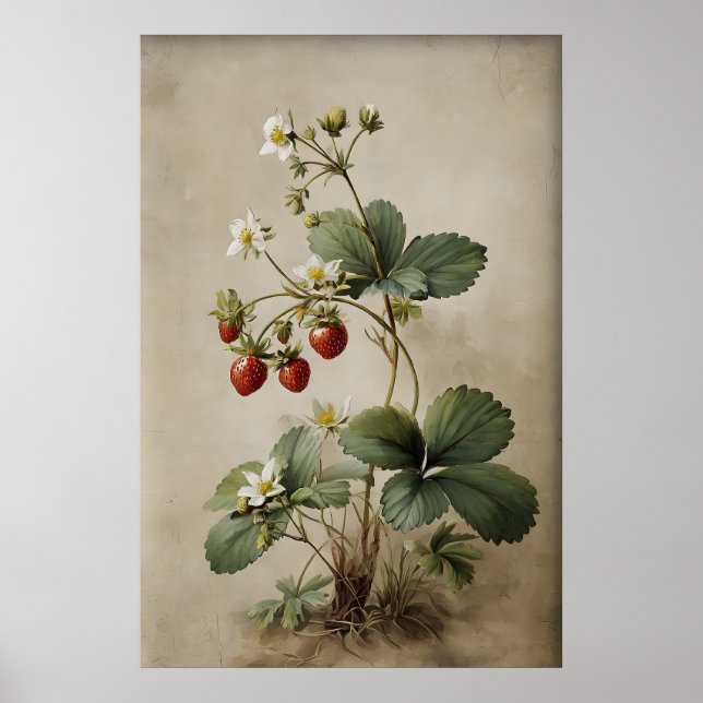 Printable Strawberry Berry Wall Art, Antique Poster (Front)