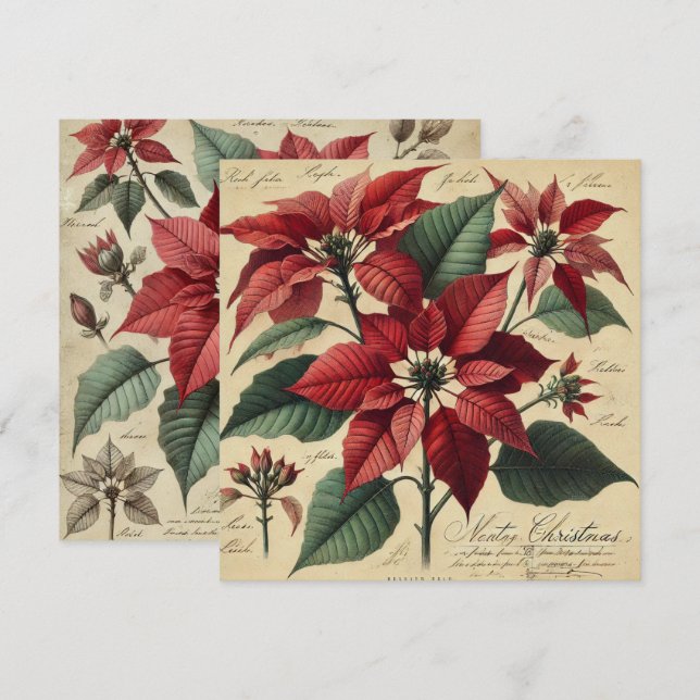 Printable Vintage Christmas Poinsettia Botanical Invitation (Front/Back)