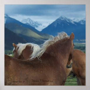 printed Canvas- Horses and Mountains Poster