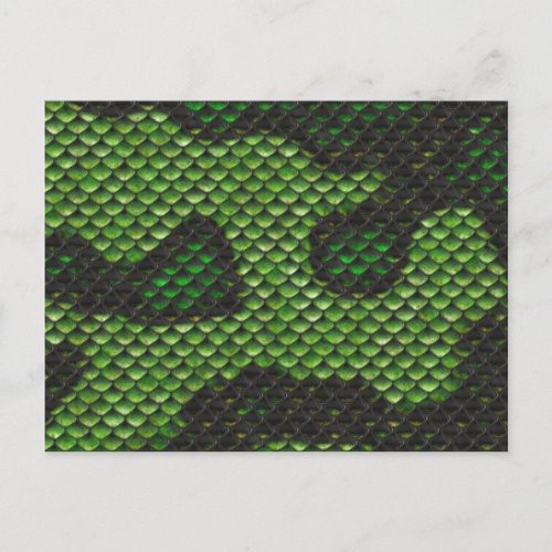 Printed Fake Green Snake Skin Camo Style Design Postcard