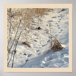Prints in the Snow Poster