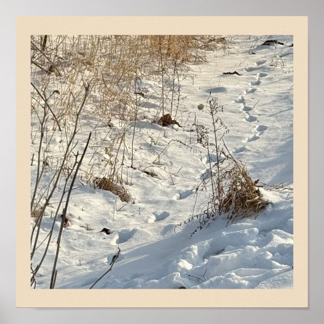 Prints in the Snow Poster (Front)