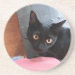 Priscilla cat coaster<br><div class="desc">Priscilla cat</div>