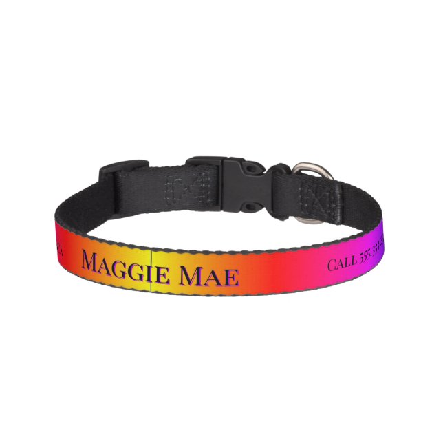 "Prism "  Pet Collar (Front)