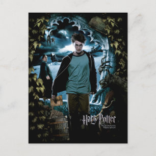 Prisoner of Azkaban - French 3 Postcard