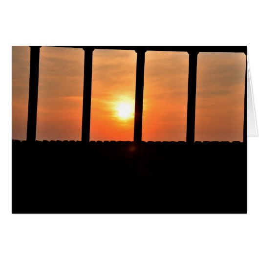 Prisoner sun cards (Front Horizontal)