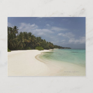 Pristine beach and coconut palms. postcard