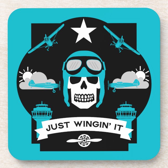 Private And Commercial Pilot Gift Beverage Coaster (Front)
