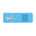 Private jet cartoon illustration label