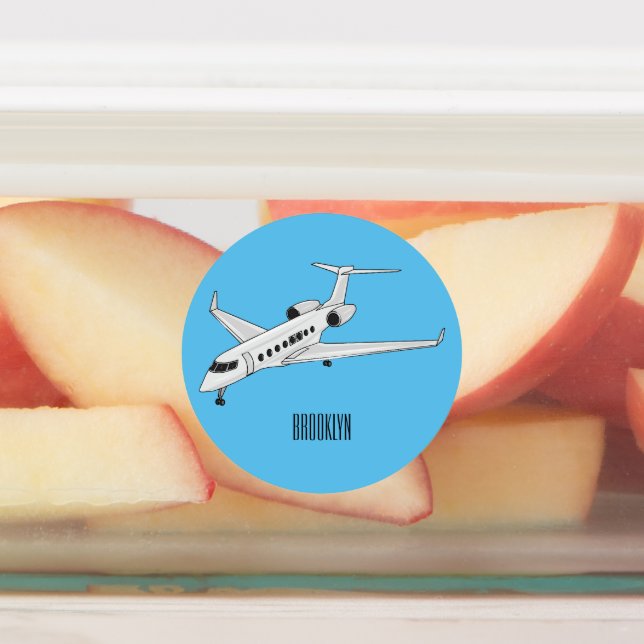 Private jet cartoon illustration labels (Affixed)
