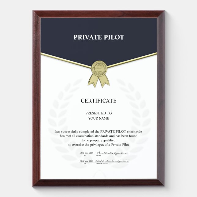 Private Pilot Certificate Award Plaque (Vertical)