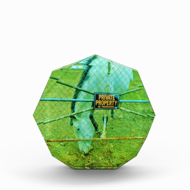 Private Property, Horse Award (Front)