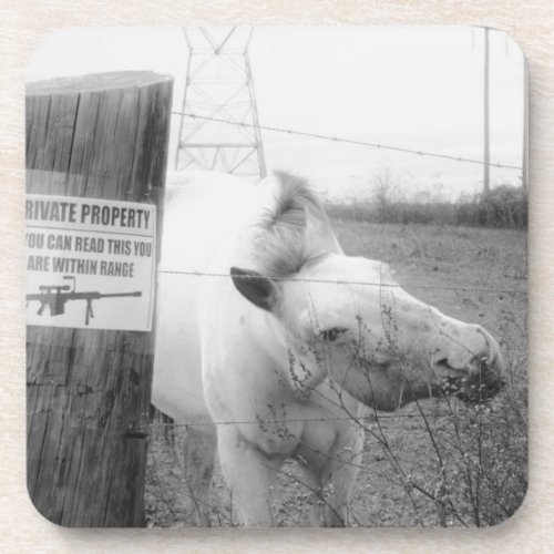 Private Property horse black  white Drink Coaster