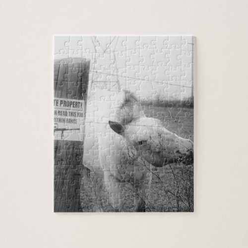 Private Property horse black  white Jigsaw Puzzle