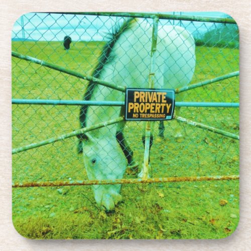 Private Property Horse Drink Coaster