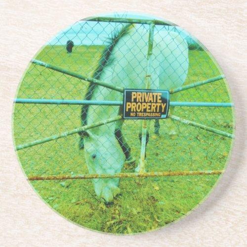 Private Property Horse Sandstone Coaster