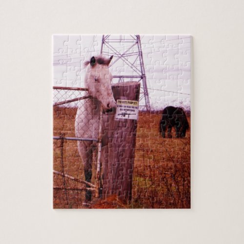 Private Property lavender Horse Jigsaw Puzzle