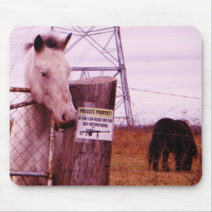 Private Property lavender Horse Mouse Pad