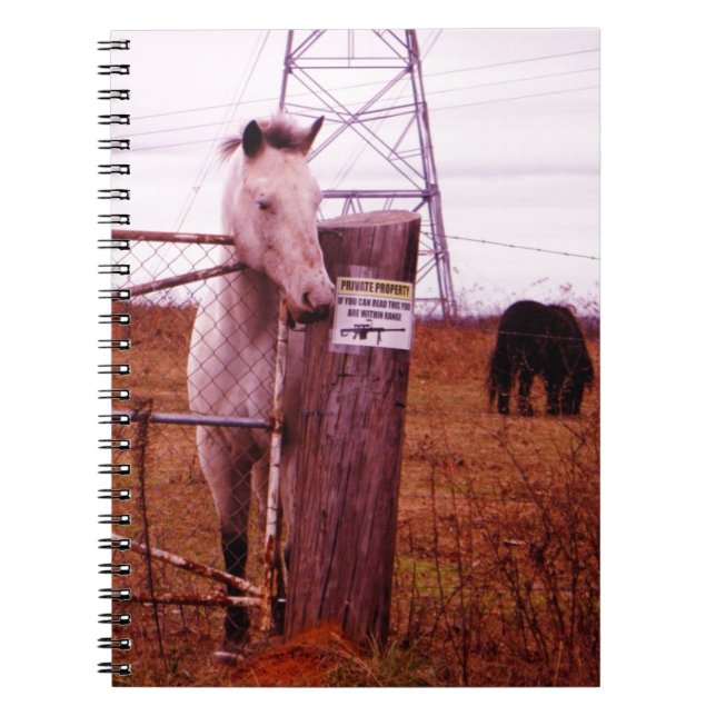Private Property lavender Horse Notebook (Front)