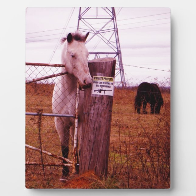 Private Property lavender Horse Plaque (Front)