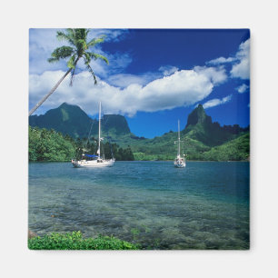 Private yachts anchored in Opunohu Bay on the Magnet