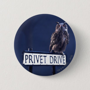 Privet Drive Pinback Button