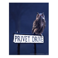 Privet Drive Postcard