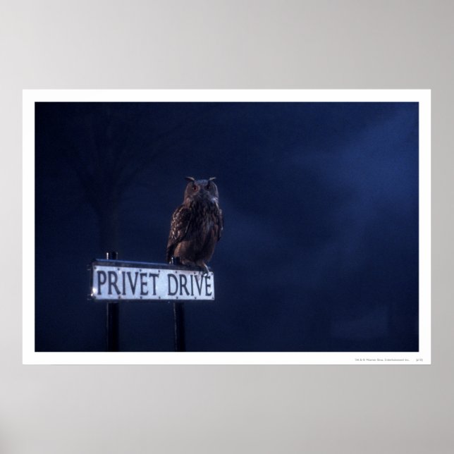 Privet Drive Poster (Front)