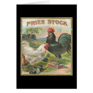 Prize Stock Cards