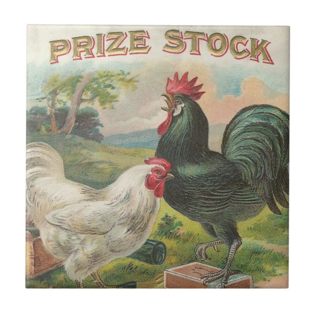 Prize Stock Tile (Front)